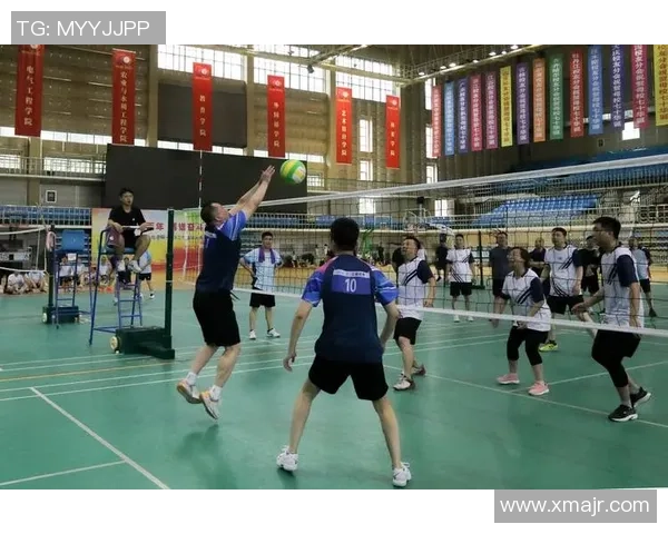 南京排球队逆袭之路揭秘锦标赛背后的奋斗与荣耀