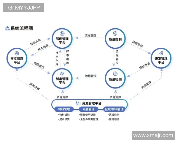 深圳羽毛球队区域防守革新之路探索与实践分析
