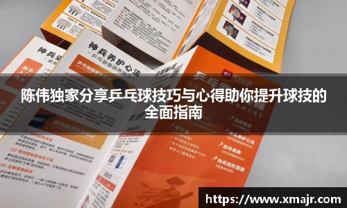 陈伟独家分享乒乓球技巧与心得助你提升球技的全面指南